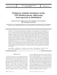 Bottlenose Dolphin Abundance in the NW Mediterranean: Addressing Heterogeneity in Distribution