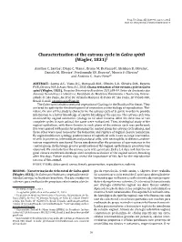 Characterization of the Estrous Cycle in Galea Spixii (Wagler, 1831)1