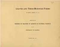 Leaves and Their Modified Forms