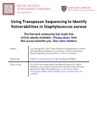 Using Transposon Sequencing to Identify Vulnerabilities in Staphylococcus Aureus
