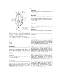 Alkalization Allitization Allogenic Alluvium Andosols