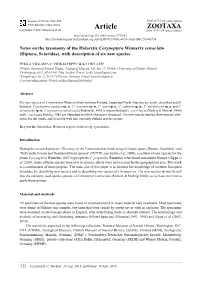 Notes on the Taxonomy of the Holarctic Corynoptera Winnertz Sensu Lato (Diptera, Sciaridae), with Description of Six New Species
