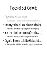 Types of Soil Colloids