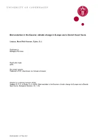 Bird Evolution in the Eocene: Climate Change in Europe and a Danish Fossil Fauna