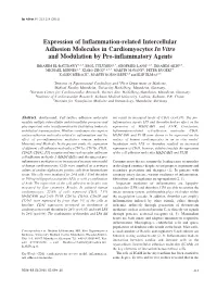 Expression of Inflammation-Related Intercellular Adhesion Molecules in Cardiomyocytes in Vitro and Modulation by Pro-Inflammatory Agents