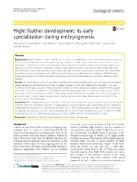 Flight Feather Development