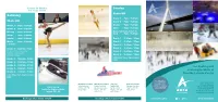 Ice Skating and Learning to Skate at Deeside Leisure Centre Sunday