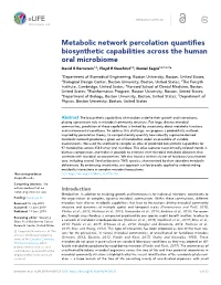 Metabolic Network Percolation Quantifies Biosynthetic Capabilities