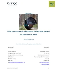 Using Genetic Research to Help Secure the Long-Term Future of the Capercaillie in the UK