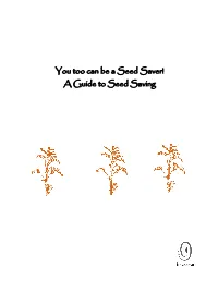 You Too Can Be a Seed Saver! a Guide to Seed Saving