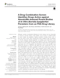 A Drug Combination Screen Identifies Drugs Active Against Amoxicillin