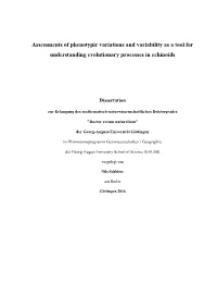 Assessments of Phenotypic Variations and Variability As a Tool for Understanding Evolutionary Processes in Echinoids