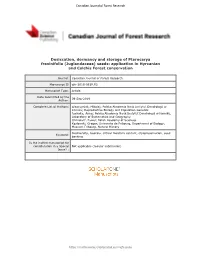 Desiccation, Dormancy and Storage of Pterocarya Fraxinifolia (Juglandaceae) Seeds: Application in Hyrcanian and Colchis Forest Conservation