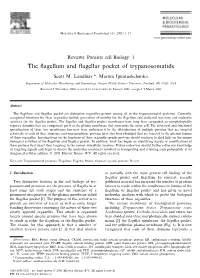 The Flagellum and Flagellar Pocket of Trypanosomatids