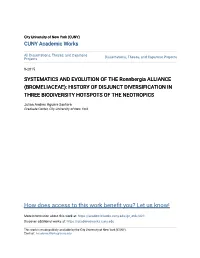 Bromeliaceae): History of Disjunct Diversification in Three Biodiversity Hotspots of the Neotropics