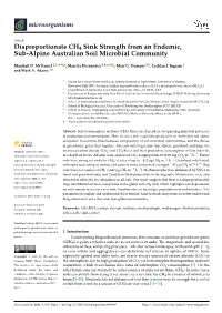 Disproportionate CH4 Sink Strength from an Endemic, Sub-Alpine Australian Soil Microbial Community