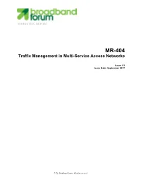 Traffic Management in Multi-Service Access Networks