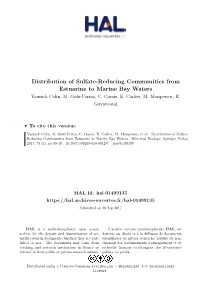 Distribution of Sulfate-Reducing Communities from Estuarine to Marine Bay Waters Yannick Colin, M