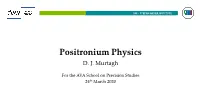 Positronium Physics Slides.Pdf