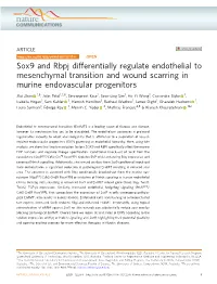 Sox9 and Rbpj Differentially Regulate Endothelial to Mesenchymal Transition and Wound Scarring in Murine Endovascular Progenitors