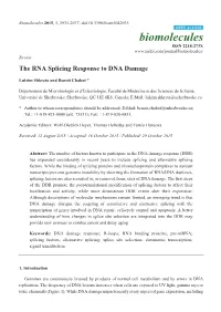 The RNA Splicing Response to DNA Damage