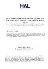 Estimating Babassu Palm Density Using Automatic Palm Tree Detection