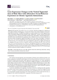 Gene Expression Changes in the Ventral Tegmental Area of Male Mice with Alternative Social Behavior Experience in Chronic Agonistic Interactions