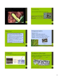 Integument, Development, and Reproduction Introduction