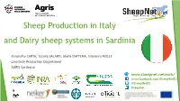 Presentazione Standard Di Powerpoint
