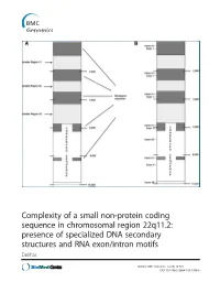Complexity of a Small Non-Protein Coding Sequence in Chromosomal Region 22Q11.2: Presence of Specialized DNA Secondary Structures and RNA Exon/Intron Motifs Delihas
