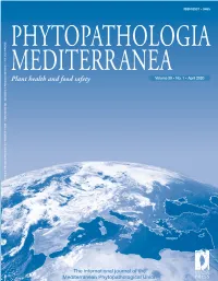 Downloaded from the National Center for Biotechnology Information a Set of 41 Representative Strains, Belonging to All (NCBI) and “Alternaria Genomes Database” (AGD)
