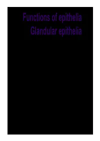 Functions of Epithelia Glandular Epithelia Spatial Arrangement of Epithelia