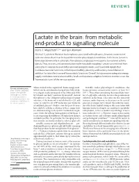 Lactate in the Brain: from Metabolic End-Product to Signalling Molecule