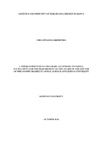 Genetics and Immunity of Indigenous Chicken in Kenya