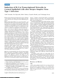Induction of IL-6 in Transcriptional Networks in Corneal Epithelial Cells After Herpes Simplex Virus Type 1 Infection