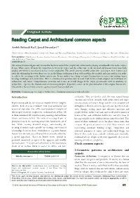 Reading Carpet and Architectural Common Aspects