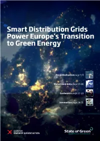 Smart Distribution Grids Power Europe's Transition to Green Energy
