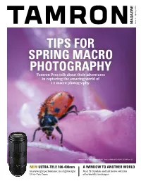 TIPS for SPRING MACRO PHOTOGRAPHY Tamron Pros Talk About Their Adventures in Capturing the Amazing World of 1:1 Macro Photography