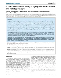 A Gene-Environment Study of Cytoglobin in the Human and Rat Hippocampus