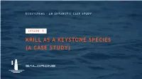 Krill As a Keystone Species (A Case Study) Lesson 3 : Krill As a Keystone Species (A Case Study)