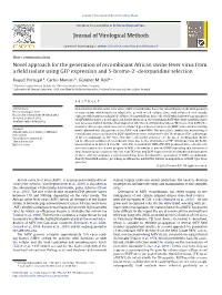 Recombinant African Swine Fever Virus from a Field Isolate Using