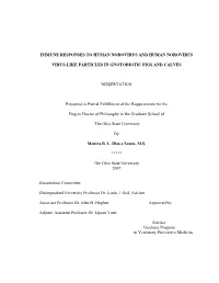 View on Enteric Caliciviruses And