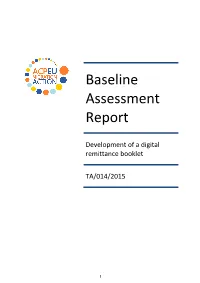 Baseline Assessment Report