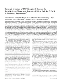 Targeted Mutation of TNF Receptor I Rescues the Rela-Deficient Mouse
