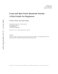 Loop and Spin Foam Quantum Gravity: a Brief Guide for Beginners