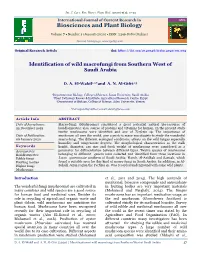 View Full Text-PDF