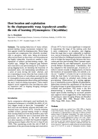 Host Location and Exploitation by the Cleptoparasitic Wasp Argochrysis