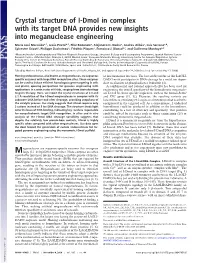 Crystal Structure of I-Dmoi in Complex with Its Target DNA Provides New Insights Into Meganuclease Engineering