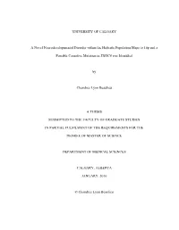 UNIVERSITY of CALGARY a Novel Neurodevelopmental Disorder Within the Hutterite Population Maps to 16P and a Possible Causative M
