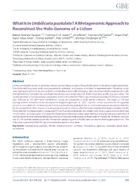 A Metagenomic Approach to Reconstruct The